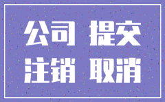 公司注销表决