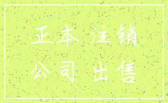 公司注销不动产处置
