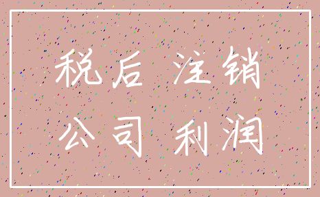 税后 注销_公司 利润