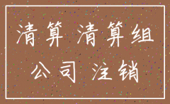 注销公司 谁做过