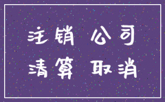 公司停止注销情况说明
