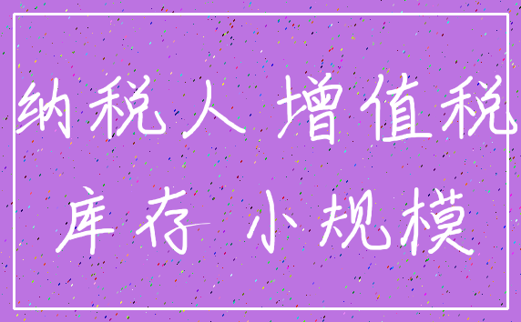 纳税人 增值税_库存 小规模
