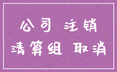 一人公司未经营注销 公示