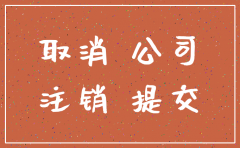 公司注销在哪里注销