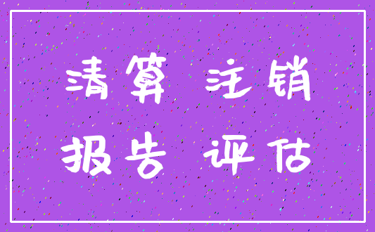 清算 注销_报告 评估
