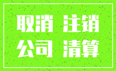 深圳市有限责任公司注销流程