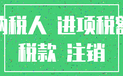 纳税人 进项税额_税款 注销