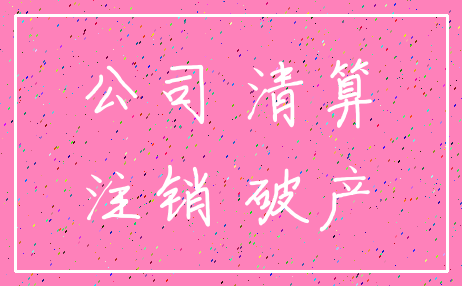 公司 清算_注销 破产