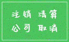 分公司注销流程都有哪些资料