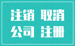 天津市关于公司注销的政策