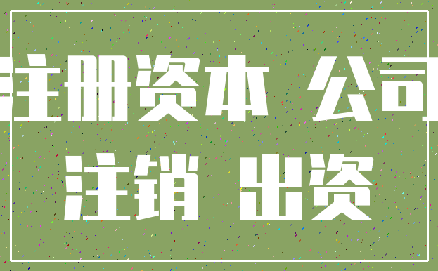 法規和國務院決定支付公司註冊資本的除外,公司股東(發起人)在出資額