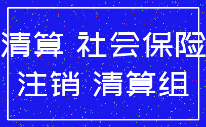 清算 社会保险_注销 清算组