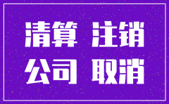 不服公司注销登记