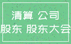 个人公司注销清算终结报告