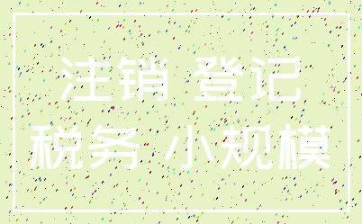 注销 登记_税务 小规模