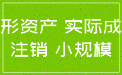 注销公司时无形资产怎么