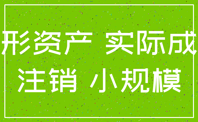 无形资产 实际成本_注销 小规模
