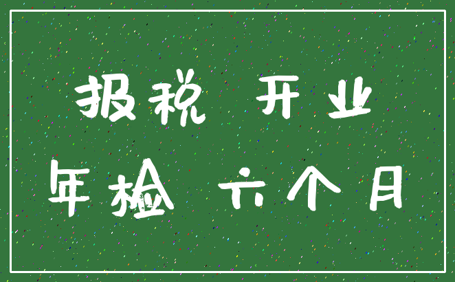 报税 开业_年检 六个月