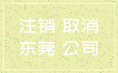 东莞市有限公司注销