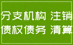 分公司注销后的债权由谁主张