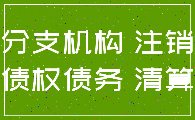 分支机构 注销_债权债务 清算