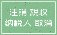 分公司注销税务政策