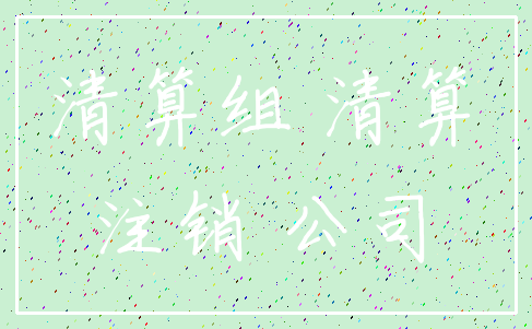 清算组 清算_注销 公司