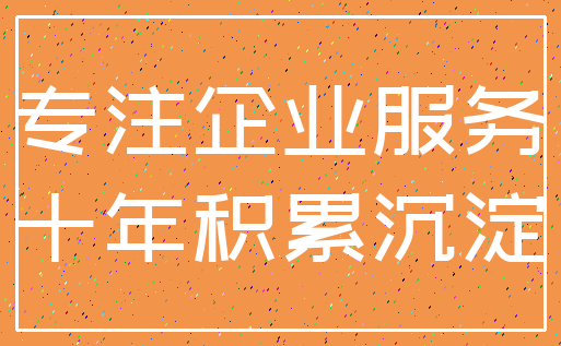 专注企业服务_十年积累沉淀