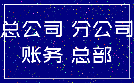 总公司 分公司_账务 总部