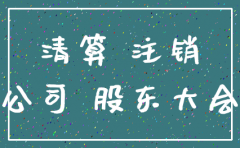 一人公司注销申请书