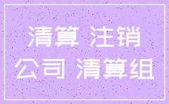 分公司注销 收入