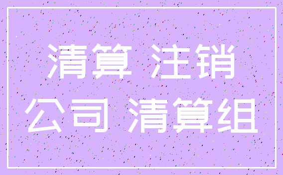 清算 注销_公司 清算组