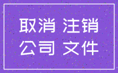 公司注销需要提供什么报表