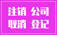 注销公司 财务资料