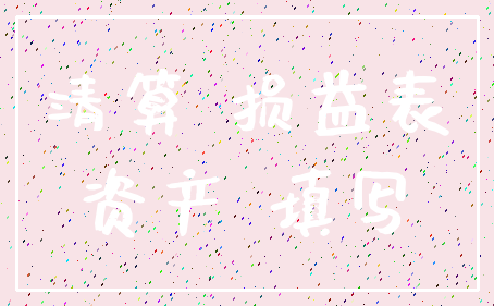 清算 损益表_资产 填写