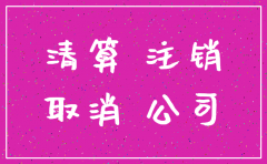 子公司怎么自行注销