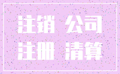 公司注销原因咋填