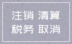公司注销税务提供什么资料