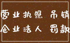 公司注册后没有开业怎样注销
