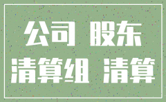 小公司股东会注销决议范本