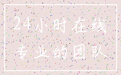 24小时在线_专业的团队