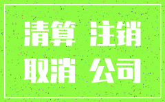 分公司注销声明函格式