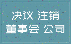 注销用公司董事会决议