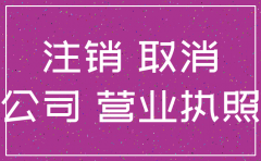 陕西公司注销声明