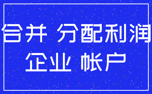 合并 分配利润_企业 帐户