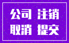 股份有限公司注销申请