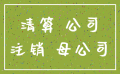 收到分公司注销上缴的剩余财产