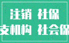 在乌苏市注销分公司