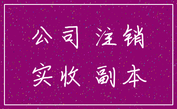 公司 注销_实收 副本