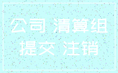 公司开了2个月申请注销
